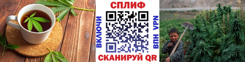 Canna-Cookies конопля Солнечногорск