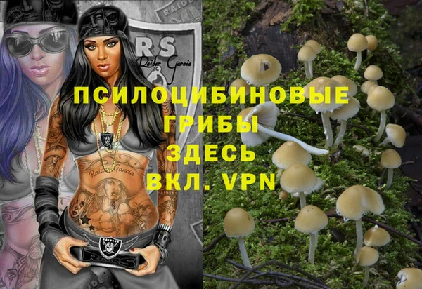стаф Алексеевка