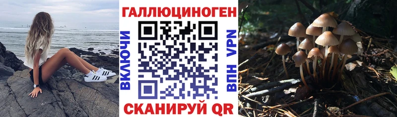 Псилоцибиновые грибы MAGIC MUSHROOMS  где продают наркотики  даркнет какой сайт  Солнечногорск 